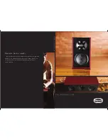 Предварительный просмотр 11 страницы Klipsch Icon WB-14 Brochure & Specs