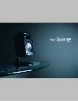 Klipsch Synergy S-2 Brochure предпросмотр