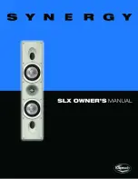 Предварительный просмотр 1 страницы Klipsch Synergy SLX Owner'S Manual