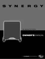 Предварительный просмотр 1 страницы Klipsch Synergy SUB-10 Owner'S Manual