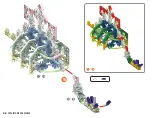 Предварительный просмотр 29 страницы K'Nex PREHISTORIC CREATURES Manual