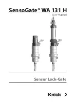 Knick SensoGate WA 131 H User Manual preview