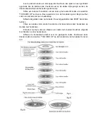 Предварительный просмотр 45 страницы Koenig DSY500 Instruction Manual