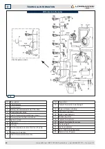 Предварительный просмотр 20 страницы Kohler Lombardini LDW FOCS 502 Euro 2 Service Manual