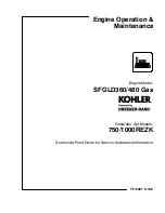 Kohler SFGLD360 Operation & Maintenance Manual предпросмотр