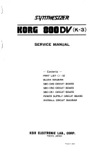 Korg 800DV Service Manual preview