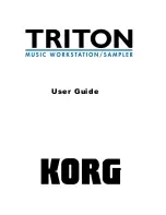 Предварительный просмотр 1 страницы Korg TRITON Musical Instrument User Manual