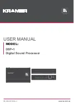 Preview for 1 page of Kramer DSP-1 User Manual