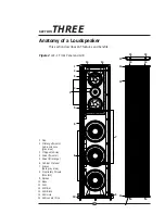 Предварительный просмотр 19 страницы Krell Industries LAT series Owner'S Manual