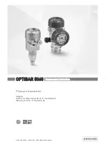 KROHNE OPTIBAR 5060 eDP Supplementary Instructions Manual предпросмотр