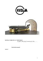 Kuzma STABI S PS AC Instruction Manual preview