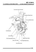 Preview for 31 page of KYMCO XCITING 250 Manual