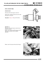 Preview for 196 page of KYMCO XCITING 250 Manual