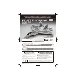 Предварительный просмотр 1 страницы Kyosho EP JET F-22 Raptor DF55 PIP Instruction Manual