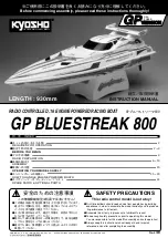 Kyosho GP Bluestreak 800 Instruction Manual предпросмотр