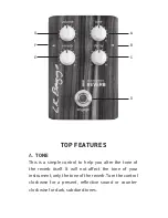 Preview for 3 page of L.R. Baggs ALIGN SERIES REVERB User Manual