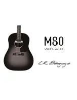 Preview for 1 page of L.R. Baggs M80 User Manual