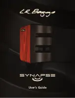 Предварительный просмотр 1 страницы L.R. Baggs Synapse User Manual