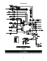 Preview for 43 page of Laars IGI-180R-10N Installation And Operating Instruction Manual