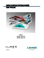 Labnet GyroMini User Manual preview