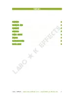 Preview for 2 page of Labo K Effects Spinyverb Manual