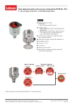 Labom CV3 Series Operating Instruction предпросмотр