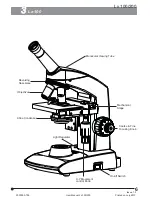 Предварительный просмотр 10 страницы Labomed Lx 100 User Manual