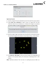 Preview for 35 page of Labomed Pixel Pro 3.2 User Manual