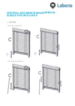 Labona V-LITE Control And Maintenance Manual preview