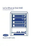 LaCie Network Raid Storage System Quick Install Manual предпросмотр