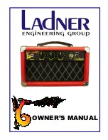 Preview for 1 page of Ladner dirty dragon Owner'S Manual