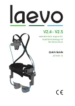 Laevo V2.4 Quick Manual preview
