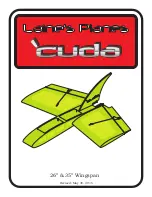 Предварительный просмотр 1 страницы Laine's Planes Cuda Manual