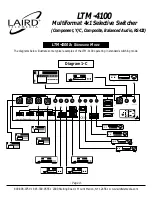 Preview for 7 page of Laird LTM-4100 User Manual