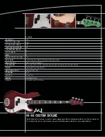 Предварительный просмотр 15 страницы Lakland 44-01 Basses Brochure