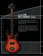 Предварительный просмотр 16 страницы Lakland 44-01 Basses Brochure