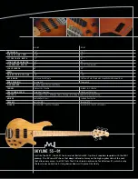 Preview for 19 page of Lakland 44-01 Basses Brochure