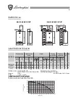 Предварительный просмотр 8 страницы Lamborghini Caloreclima 24 MC W TOP U/IT Xilo D Installation And Maintenance Manual