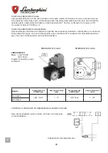 Preview for 20 page of Lamborghini Caloreclima 310 PM/M-E Installation And Maintenance Manual