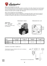 Preview for 66 page of Lamborghini Caloreclima 310 PM/M-E Installation And Maintenance Manual