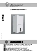 Preview for 1 page of Lamborghini Caloreclima ALHENA TECH H Instructions For Use, Installation And Maintenance