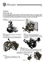 Предварительный просмотр 45 страницы Lamborghini Caloreclima ECO 5N Installation And Maintenance Manual