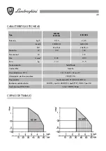 Предварительный просмотр 48 страницы Lamborghini Caloreclima ECO 5N Installation And Maintenance Manual