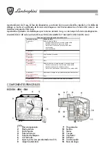 Предварительный просмотр 55 страницы Lamborghini Caloreclima ECO 5N Installation And Maintenance Manual