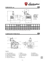 Предварительный просмотр 51 страницы Lamborghini Caloreclima EM 16-E Installation And Maintenance Manual