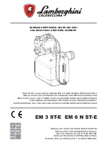 Lamborghini Caloreclima EM 6N ST-E Manual preview