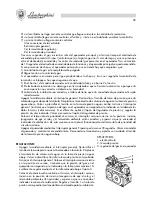 Предварительный просмотр 52 страницы Lamborghini Caloreclima ERA 31 BS 60 Installation And Maintenance Manual