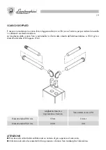 Предварительный просмотр 19 страницы Lamborghini Caloreclima Futuria L 24-28 MC W TOP/IT Installation And Maintenance Manual