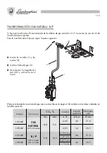 Preview for 110 page of Lamborghini Caloreclima Futuria L 24-28 MC W TOP/IT Installation And Maintenance Manual