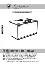 Preview for 1 page of Lamborghini Caloreclima GASTER N 119 Instructions For Use Manual